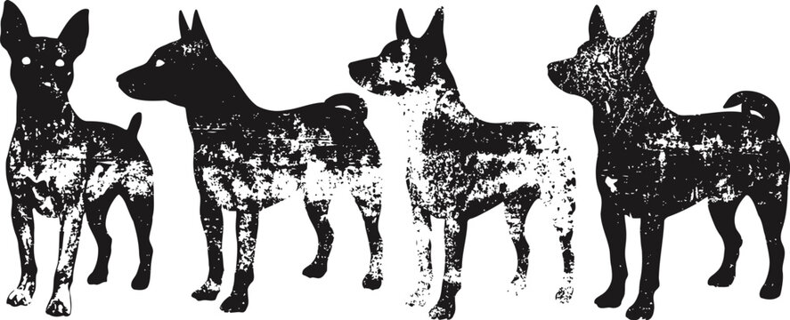 Four basenji dogs standing in different poses silhouette isolated on white background