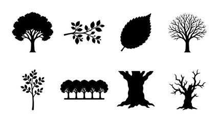 Diverse Tree and Leaf Silhouettes, Vector Icons Set: Nature Elements for Organic Designs, Woodland Scenes, Seasonal Graphics © Samira