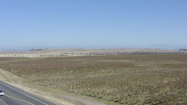 Vineyards in Autumn Paso Robles California Drone Aerial View