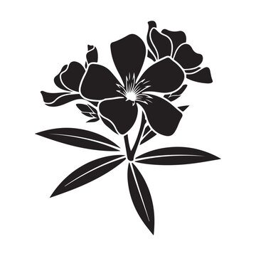 Black silhouette of a blooming oleander flower with leaves