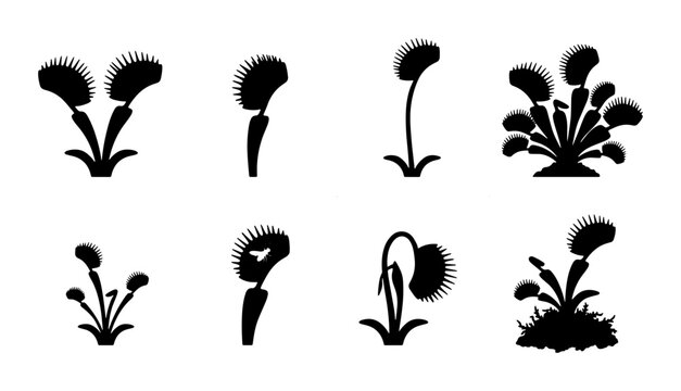 Venus Flytrap Vector Icons, Carnivorous Plant Silhouettes, Botanical Illustrations, Insectivorous Flora Graphics, Nature Elements