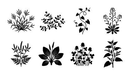 Botanical Vector Illustrations: Set of 8 Diverse Plant Silhouettes, Nature Elements for Design, Herbal Graphics, Organic Forms © Abul