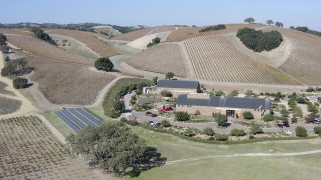 Vineyards in Autumn Paso Robles California Drone Aerial View