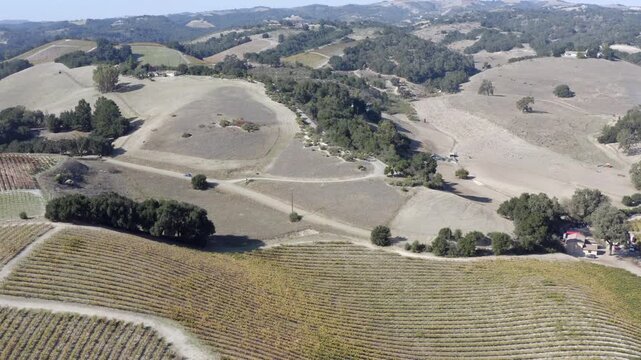 Vineyards in Autumn Paso Robles California Drone Aerial View