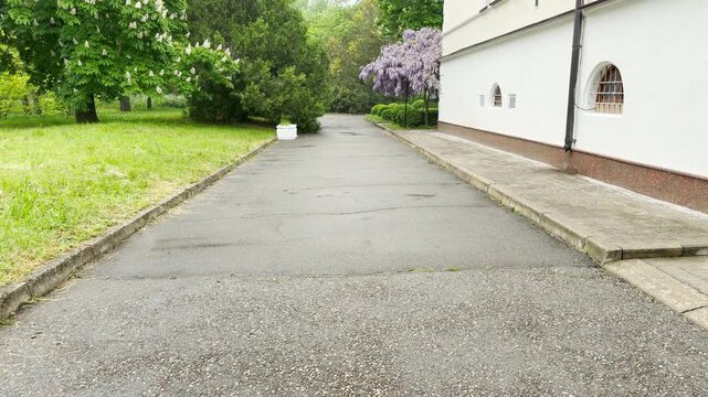 A long asphalt pathway stretches forward between a green lawn and a large white building. The blooming purple flowers and lush trees bring a peaceful, refreshing feeling to the quiet spring day.