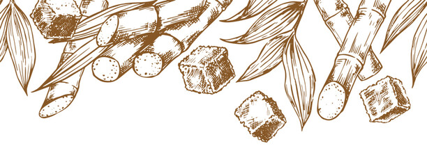 Sugarcane. Seamless border in sketch style. Retro frame of sugarcane stems and brown sugar. © Tatiana