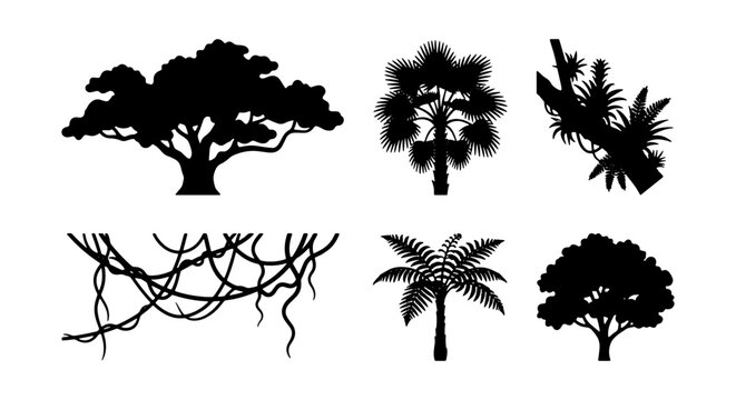 Tropical Jungle Trees and Vines Silhouettes, Exotic Flora Vector Elements, Nature Botanical Illustrations