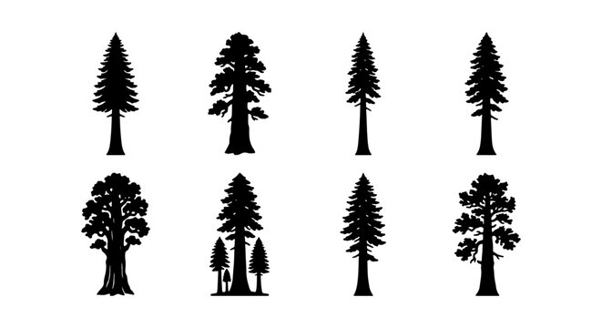 Coniferous Tree Silhouettes, Evergreen Forest Icons, Nature Vector Graphics, Woodland Elements