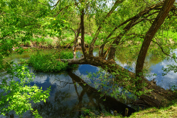 Bulwary im. Wiktora Wołkowa nad rzeką Supraśl w Supraślu, Podlasie © podlaski49