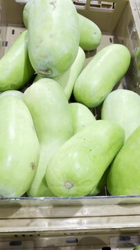 Bunch of fresh winter melon arranged on tray at supermarket, clean Asian produce display with healthy grocery shopping and cooking ingredient concept