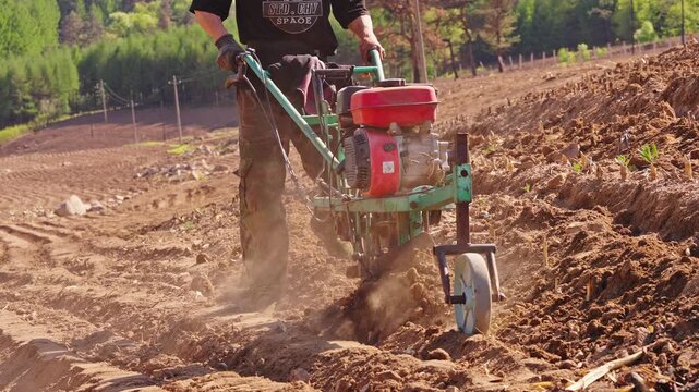 Various agricultural implements used in spring plowing