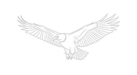 Obraz premium Flying Bird with Spread Wings.