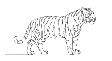 Fototapeta premium An illustration of a tiger standing on a line looks around.