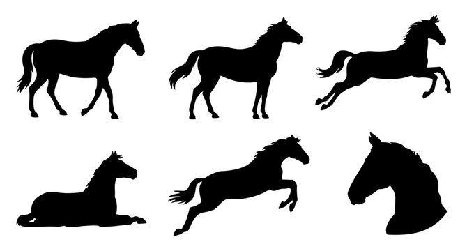 horse silhouette icon set vector