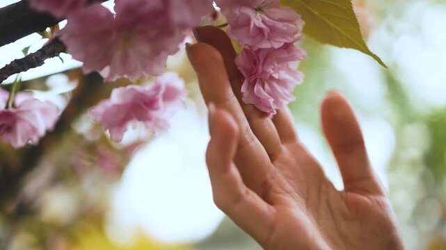 A close-up profile portrait of a beautiful woman smelling pink sakura blossoms with closed eyes in a sunny spring garden. Natural beauty, fresh cherry blossom, romantic mood, aroma and scent concept