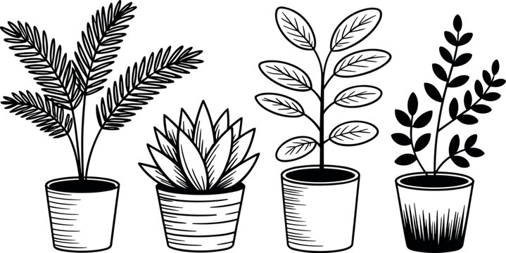Black and white line drawing illustration of four potted plants with distinct leaf shapes including palm, succulent, oval and rounded foliage artwork