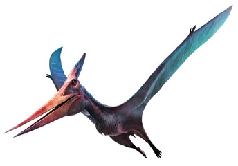 Pteranodon flying dinosaur 3D illustration  © warpaintcobra