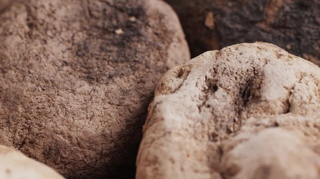 Black and White chunos potatoes from Peru, chuno food from potato, bolivian peruvian traditional dish. 