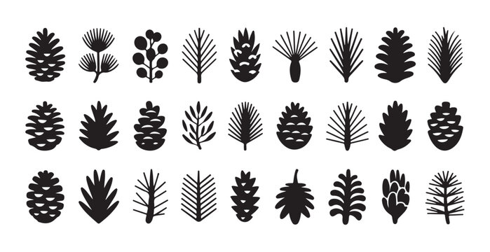 Collection of various pine cones and needles in black silhouettes, diverse forest elements.