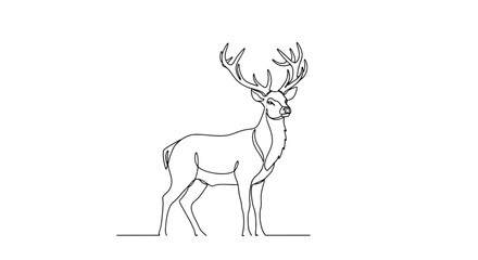 Fototapeta premium Minimalist line drawing of a majestic stag with antlers line art single line white background