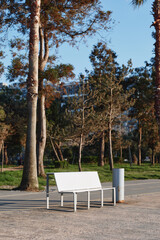 Fototapeta premium White bench in a sunlit park, surrounded by tall trees, creating a calm outdoor moment with natural colors and open space, a serene urban nature scene, bright atmosphere