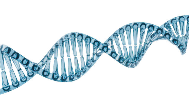 Blue translucent DNA helix structure, isolated on transparent background