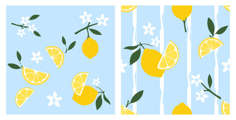 Lemon fruit and floral seamless pattern pastel blue striped citrus background design. © Thanawat