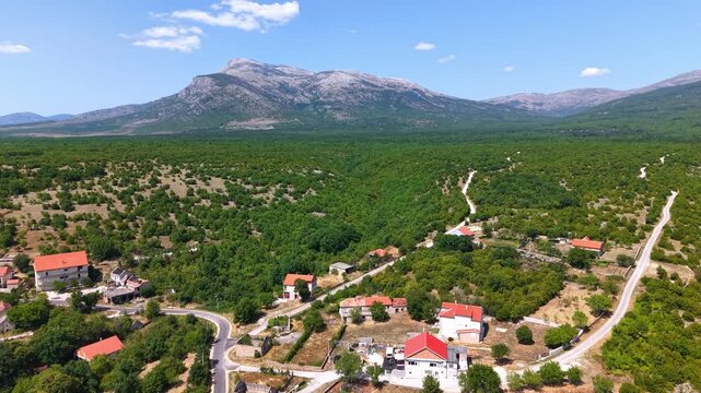 Aerial view of a small village with red roof houses in the Dalmatian hinterland near the mountains, Croatia