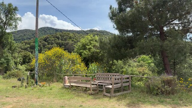 Banco de madera en un paisaje natural mediterr&aacute;neo con sonido de p&aacute;jaros &mdash; v&iacute;deo 4K Apple ProRes