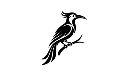 Hoopoe bird vector illustration featuring a stylized black and white crested avian wildlife silhouette perched on a branch, perfect for nature logos, tribal tattoos, and creative design projects. © Hosneara