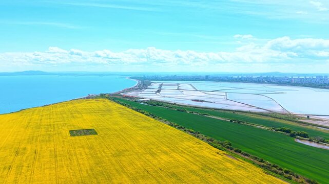 Aerial view of rapeseed field near sea and city. Wide drone panorama of yellow blooming canola and green fields next to coastal salt pans, city skyline and blue sea.