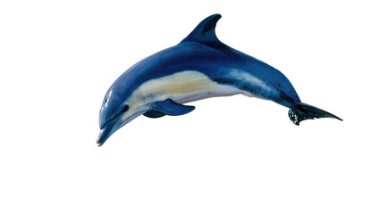 Blue and white dolphin leaping, isolated on transparent background © Nolan
