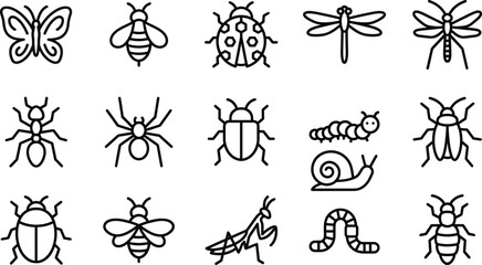 Insects and bugs outline icon vector illustration bundle for kids educational coloring page book © MDBABULU
