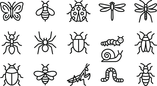 Insects and bugs outline icon vector illustration bundle for kids educational coloring page book