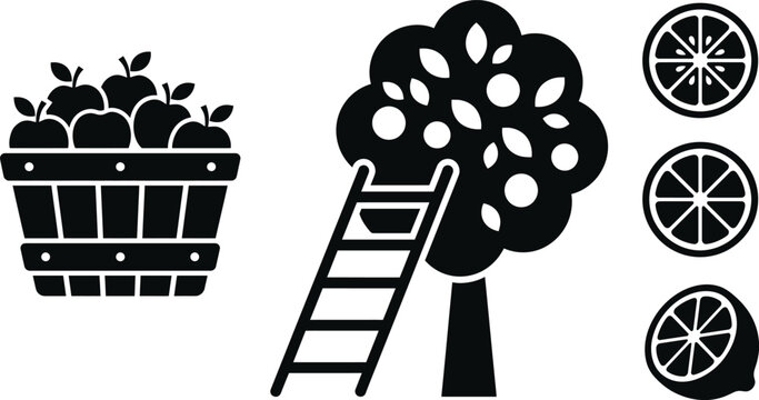 Apple orchard farming illustration basket tree and fruit slices