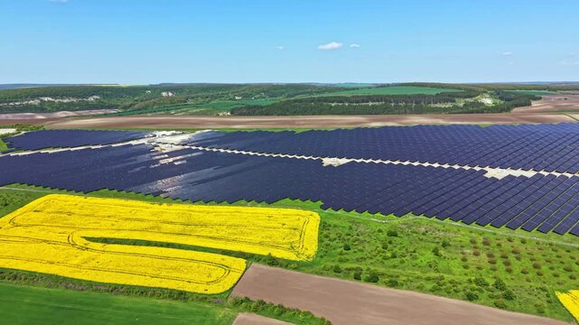 A vast field of solar panels stretches across the land with green grass and bright yellow flowers. The scene shows a mix of nature and technology during daytime.