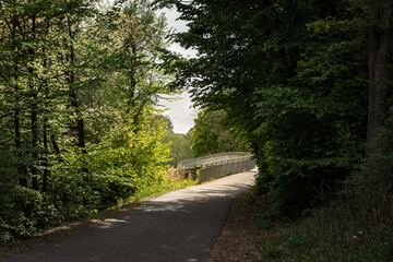 Obraz premium Quiet forest cycling road leading to modern bridge Plumlovska Prehrada, Czech Republic - May 8, 2026