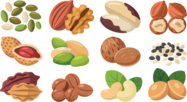 Organic raw nuts and healthy seeds collection vector cartoon flat illustration icons bundle set