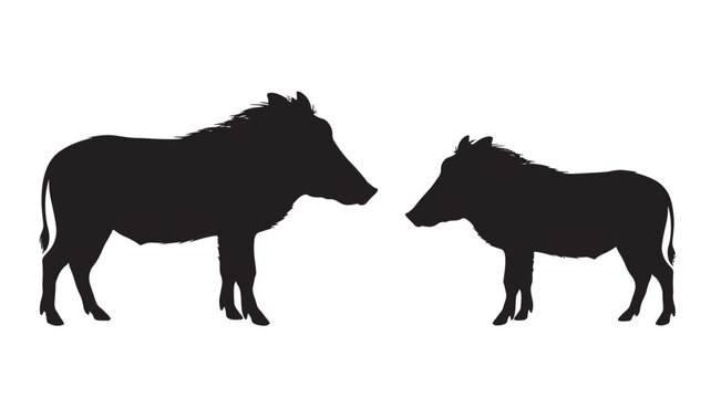 Warthog silhouette vector illustration of two wild animals standing on white background for nature, safari and wildlife branding