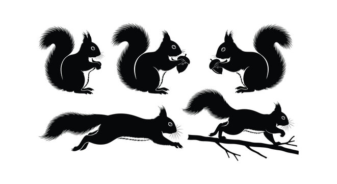 Five black squirrel silhouettes are shown in different poses a vector illustration against a white background.