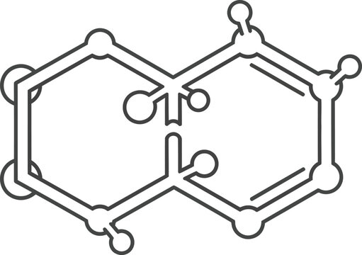 Biphenyl silhouette molecular structure diagram