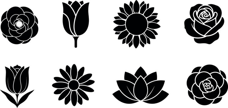 Silhouette of various flowers on white background
