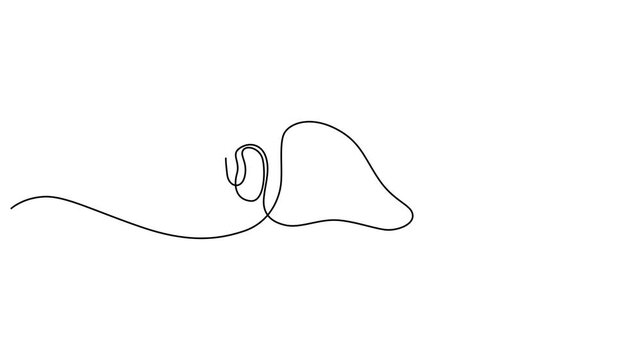 Minimalist seashell, continuous line drawing, simple vector icon, black and white illustration 4k video