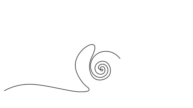 Minimalist seashell, continuous line drawing, simple spiral shell, black and white 4k video