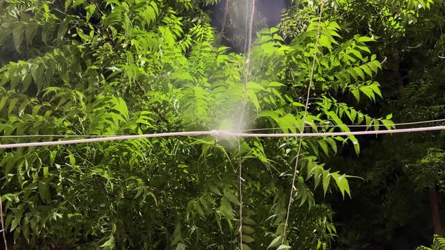 automatic mist spray system at outdoor for cooling at summer at outdoor
