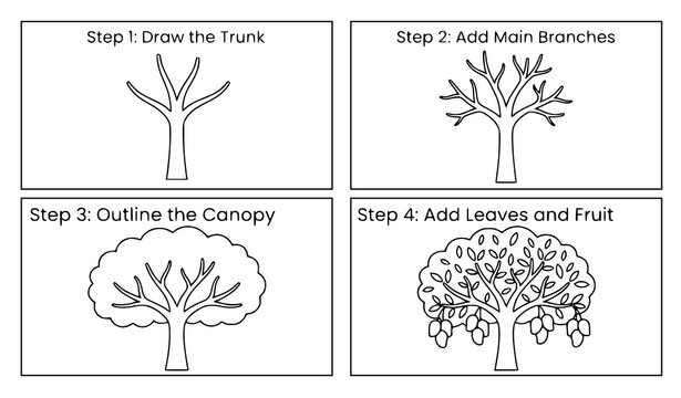 Easy mango tree drawing tutorial vector with educational sketch steps on white