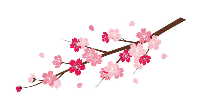 Beautiful cherry blossom branch with pink flowers