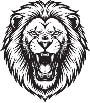 Fierce lion head front view vector illustration with big cat, black and white

