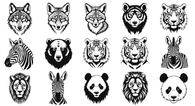 Detailed black and white animal head illustrations wildlife icons set with wolf bear tiger zebra lion panda faces