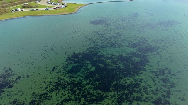 Aerial drone view of a vibrant turquoise sea with dark underwater seaweed patches near a green coastline with parked camper vans and RVs on a sunny day.